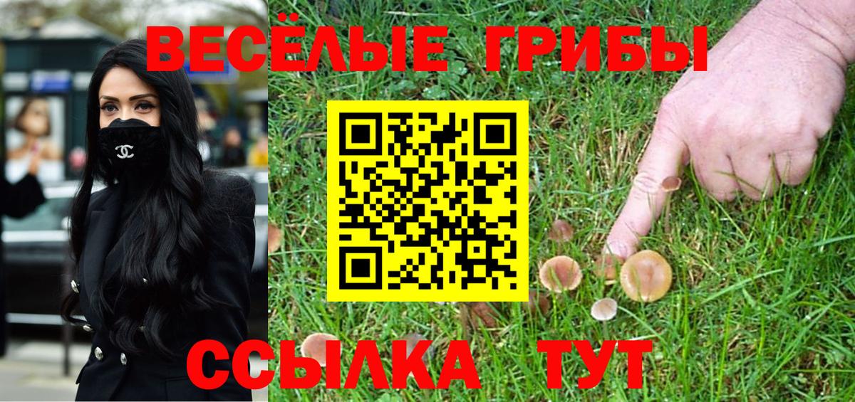 Иваново  Псилоцибиновые грибы GOLDEN TEACHER  Псилоцибиновые грибы Psilocybine cubensis  Вход с VPN 